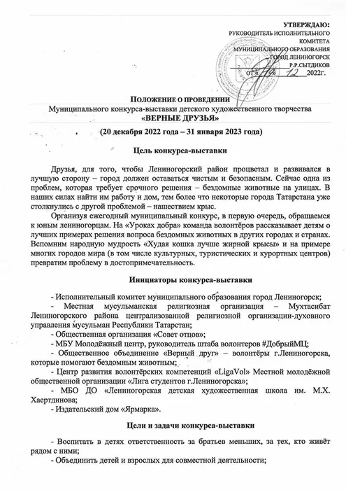 положение верные друзья 1-1